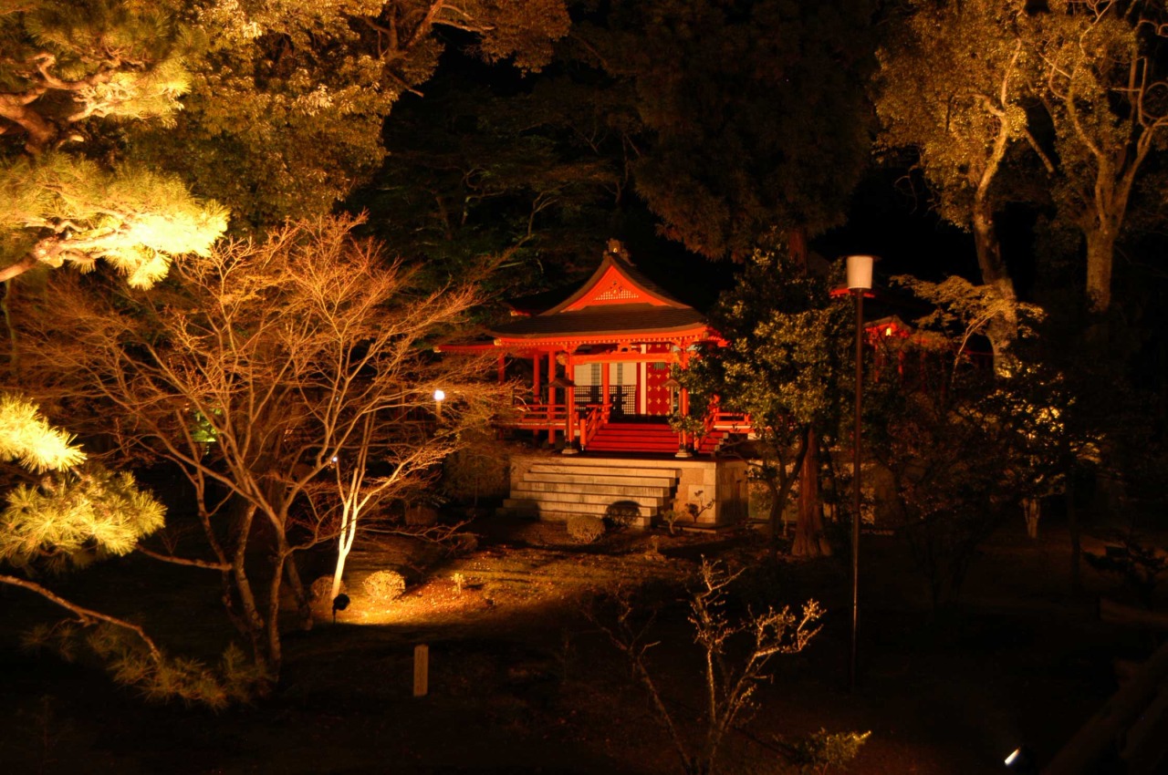 夜間ライトアップ 大覚寺 特別参拝のご案内