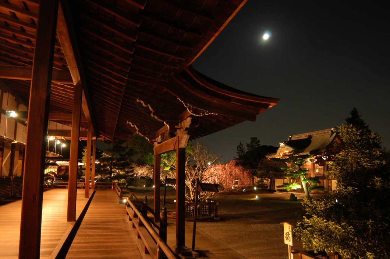 夜間ライトアップ 大覚寺 特別参拝のご案内