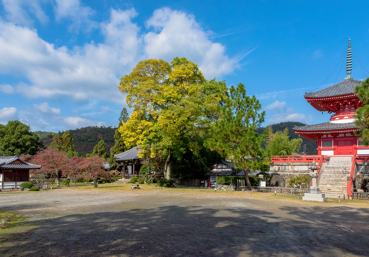 宝塔前広場